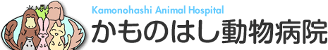 かものはし動物病院